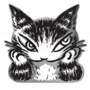 Profile photo of 詠宸 Fay